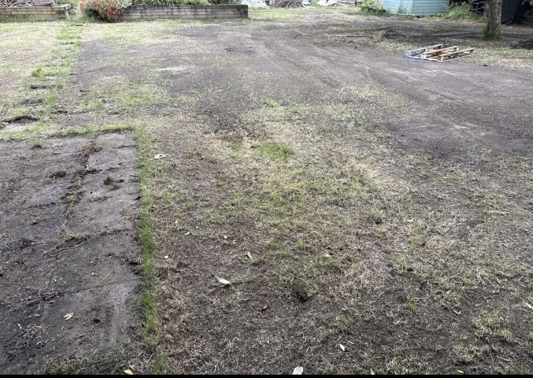 Lawn stripped back and levelled during restoration